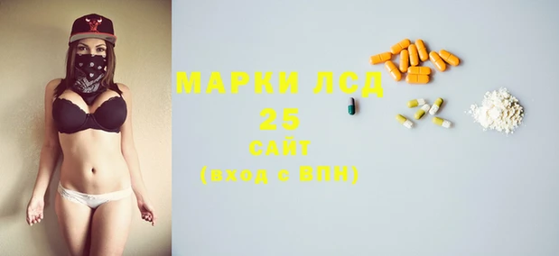 мяу мяу мука Баксан