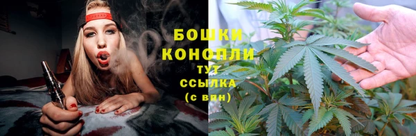 мяу мяу мука Баксан